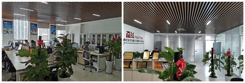 1733883079503227.jpg 45454654.jpg